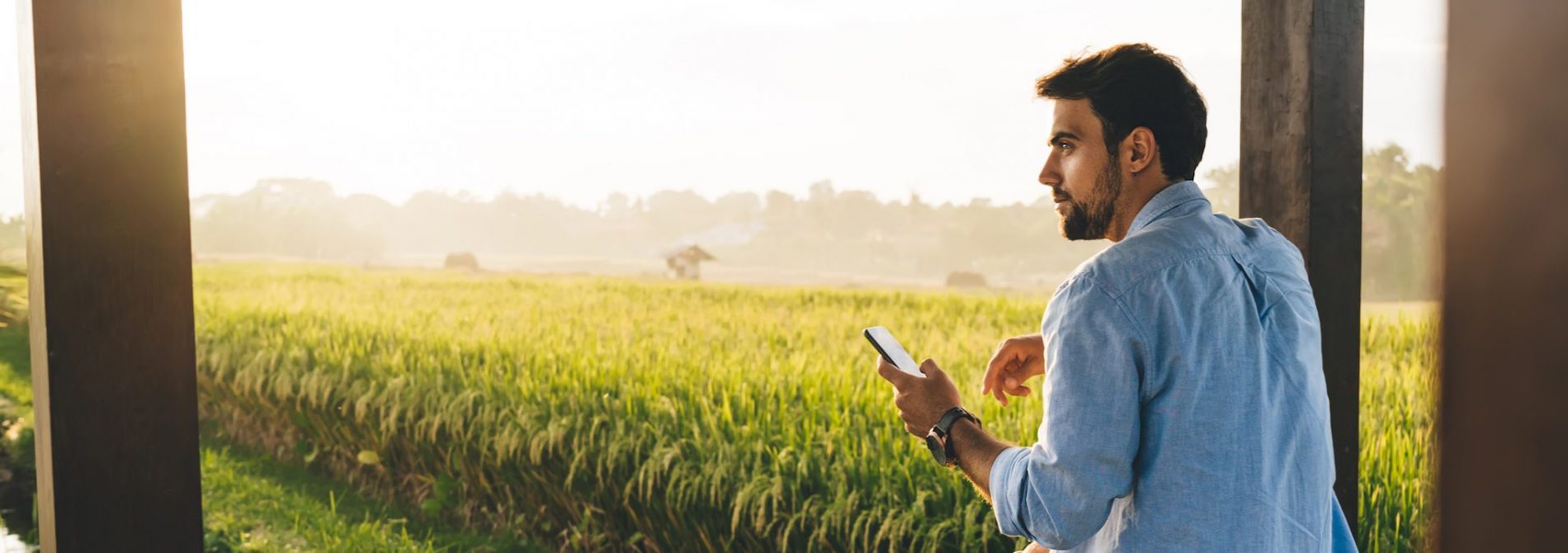 Un homme tient un smartphone et se tient proche d'un champ de riz.