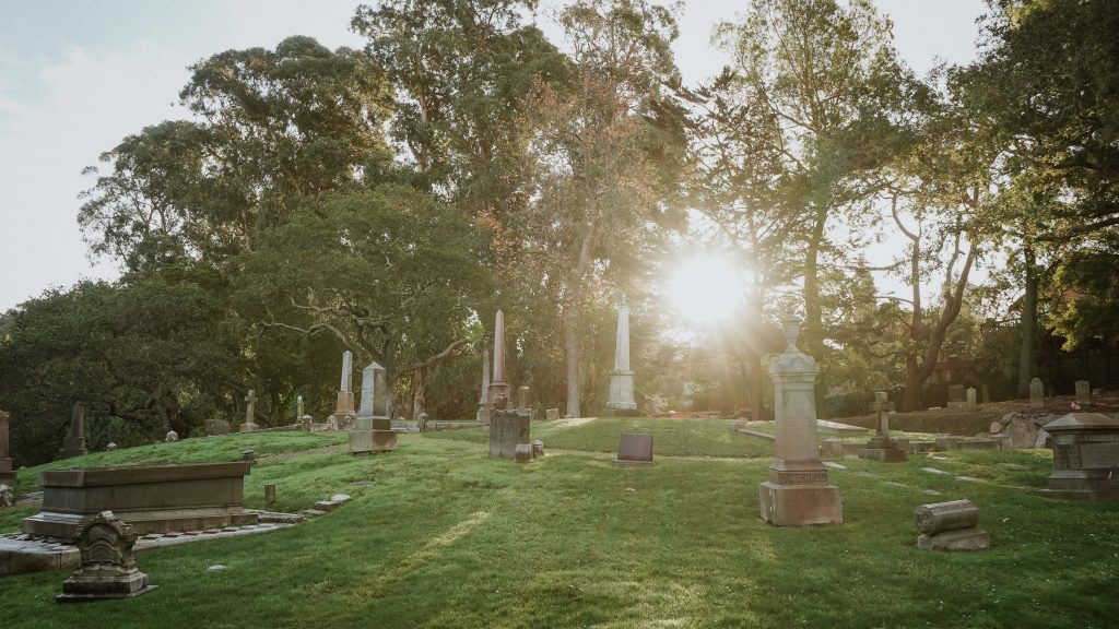 Des arbres dans un cimetière avec le soleil qui brille à travers lui.